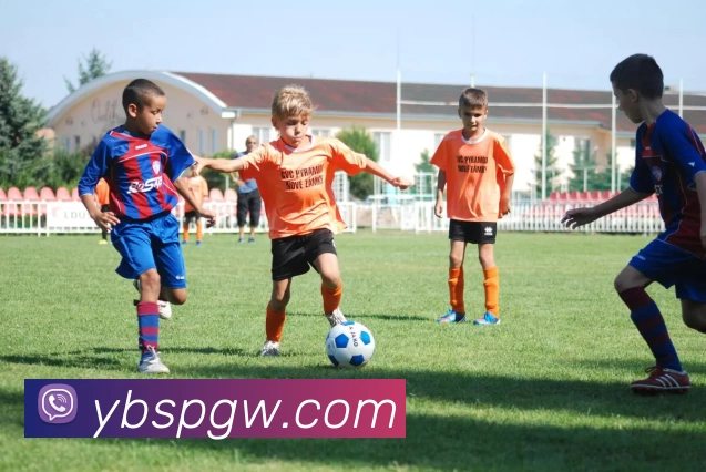 易倍体育官网服务体系